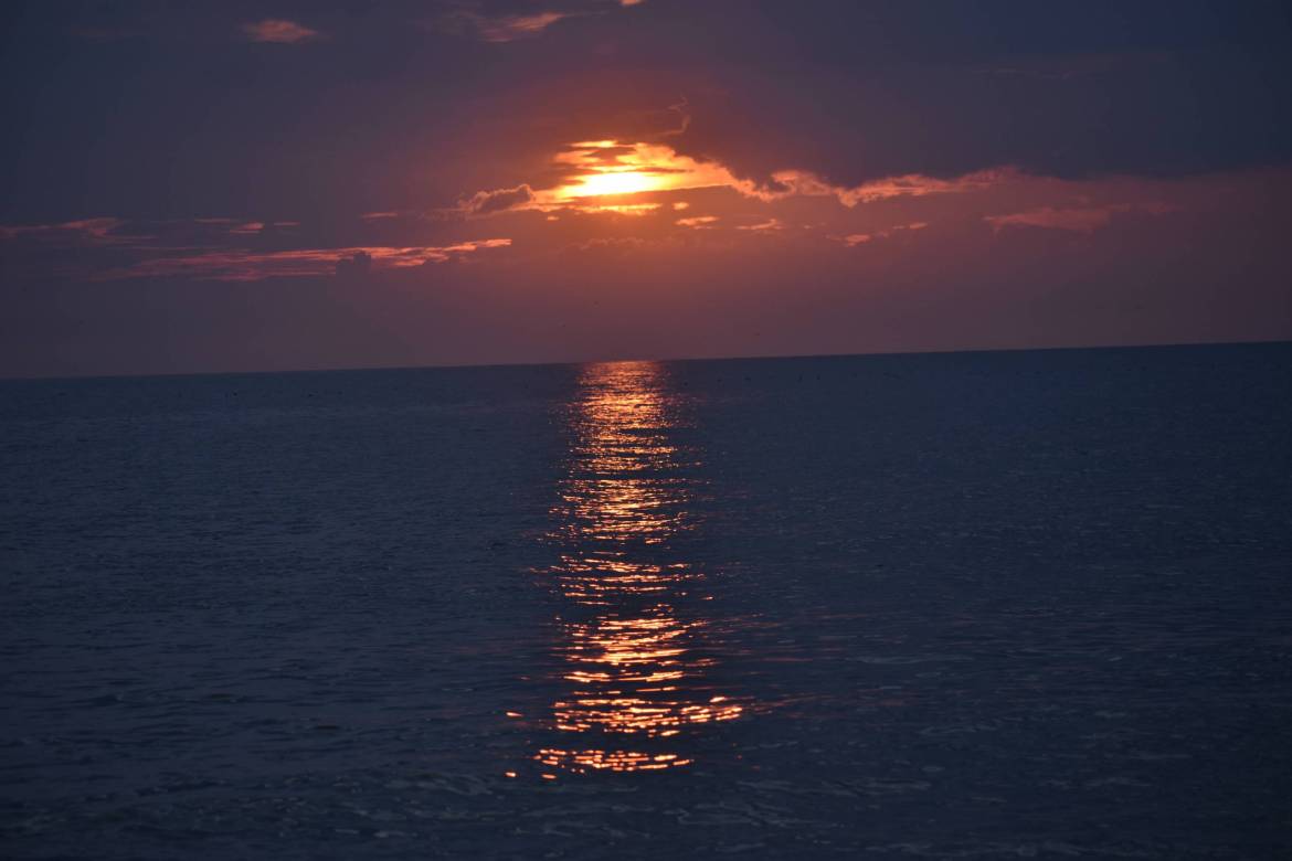DSC_1056-scaled.jpg