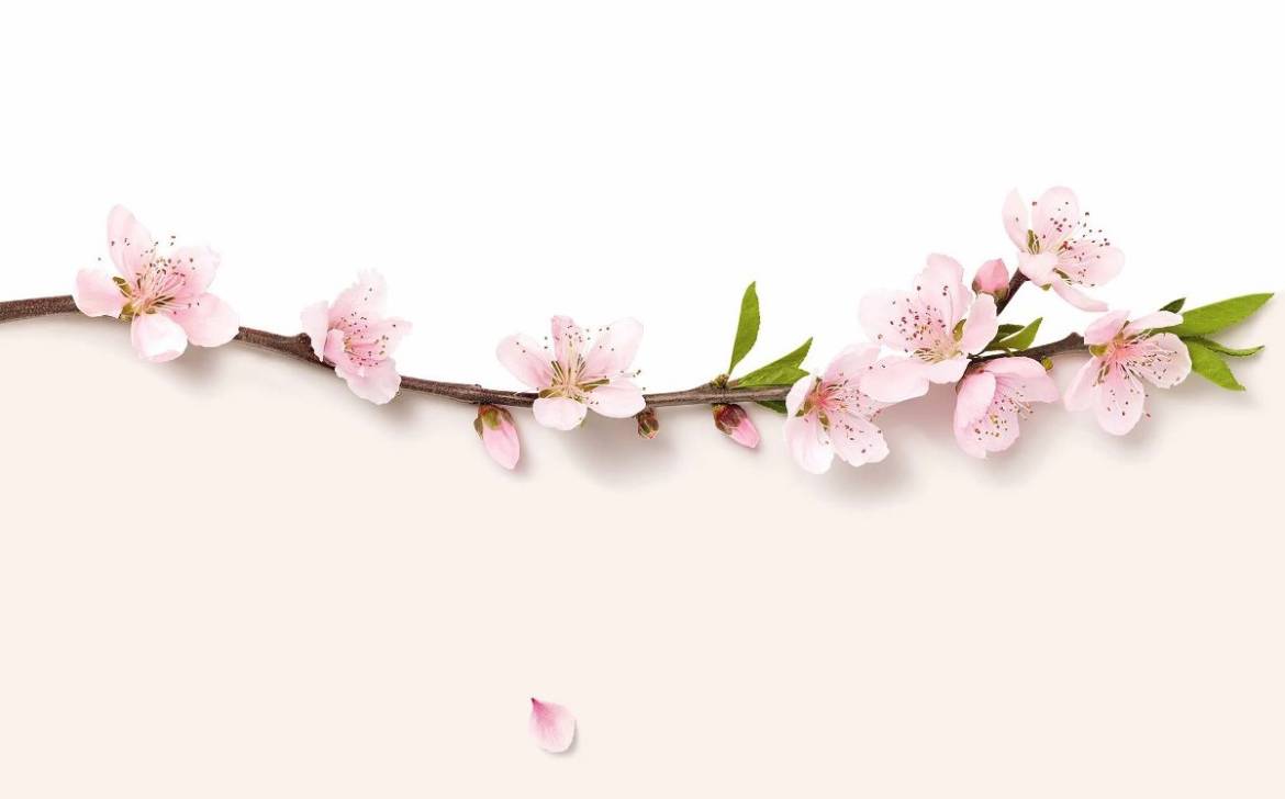 Peach-Flower.jpg