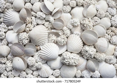 kriauklytes.webp